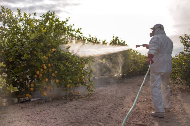 Best Wasp Removal Services  in Penn Farms, PA